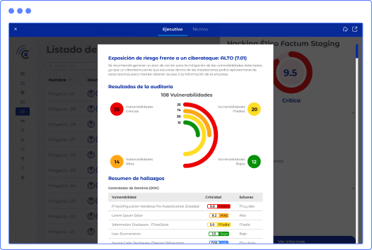 informar pentesting